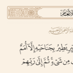 الرد على شبهة منكري السنة أن المسلم لا يحتاج سوى القرآن واستدلالهم بقوله تعالى : ما فرطنا في الكتاب من شئ