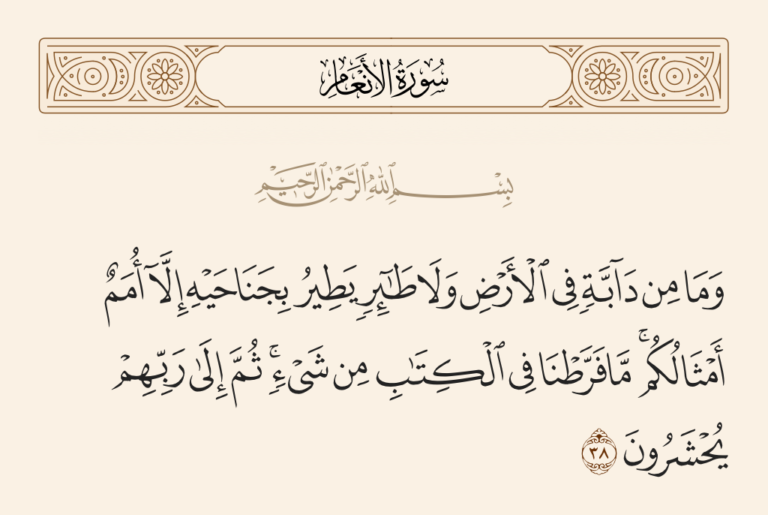 الرد على شبهة منكري السنة أن المسلم لا يحتاج سوى القرآن واستدلالهم بقوله تعالى : ما فرطنا في الكتاب من شئ