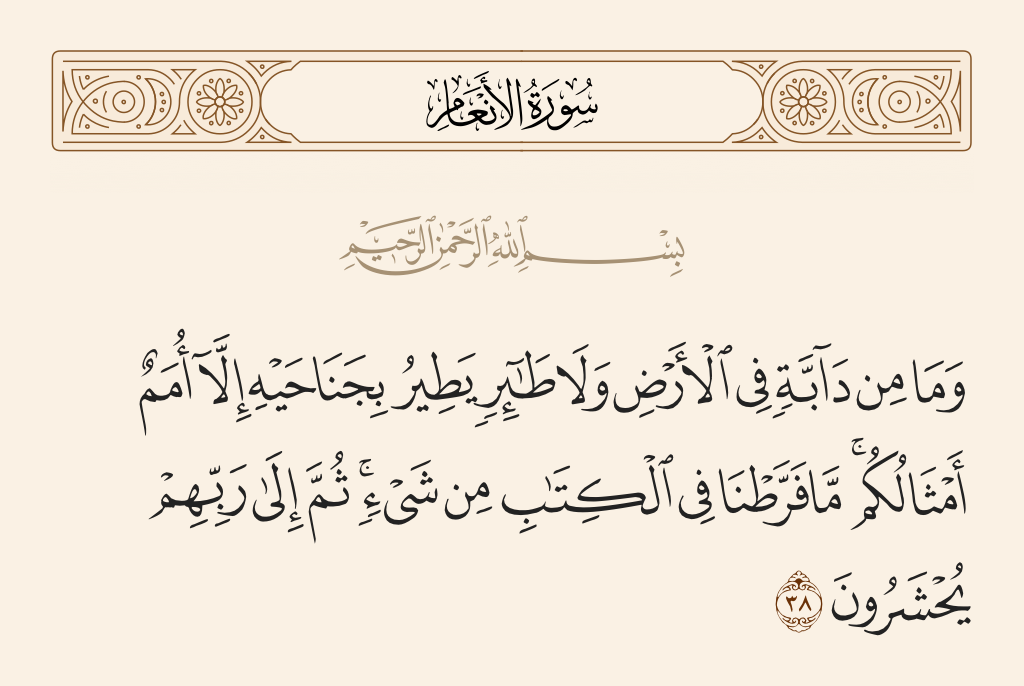 الرد على شبهة منكري السنة أن المسلم لا يحتاج سوى القرآن واستدلالهم بقوله تعالى : ما فرطنا في الكتاب من شئ